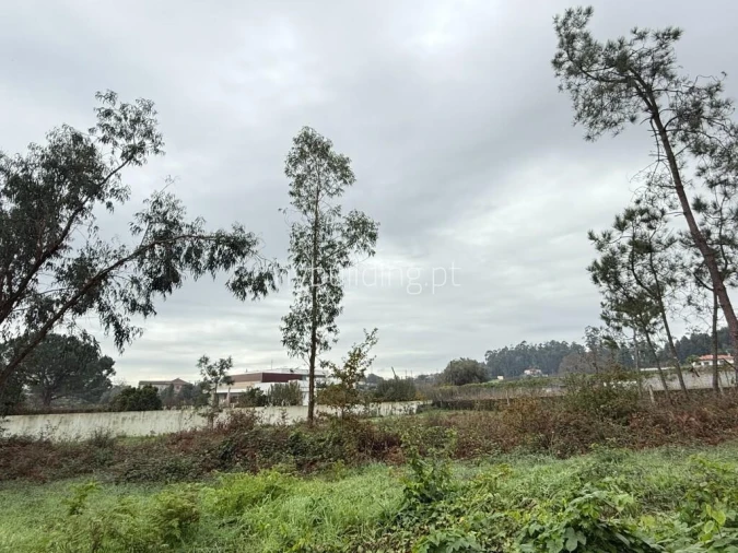 Terreno para Venda em Roriz Foto 4