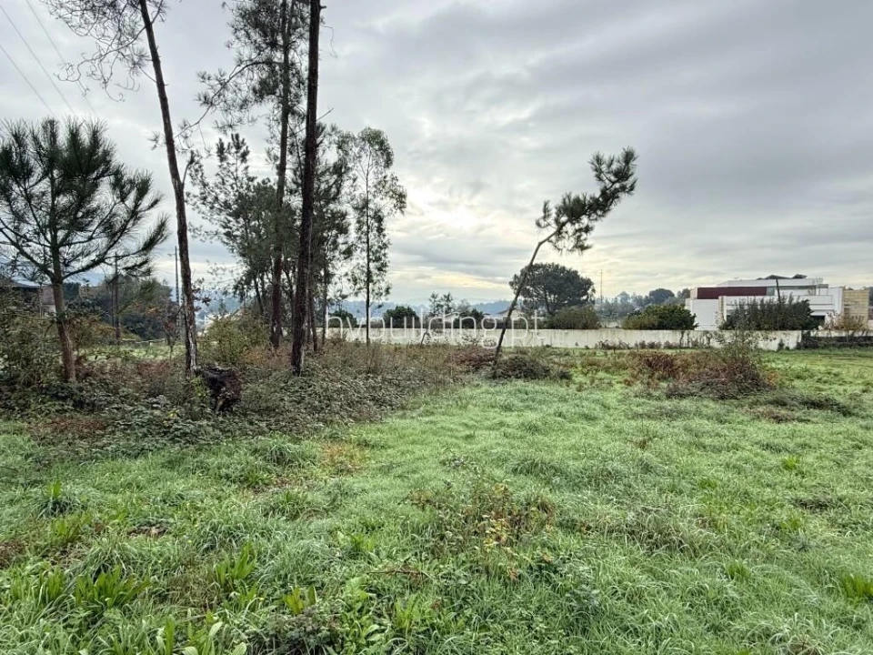 Terreno para Venda em Roriz Foto 10