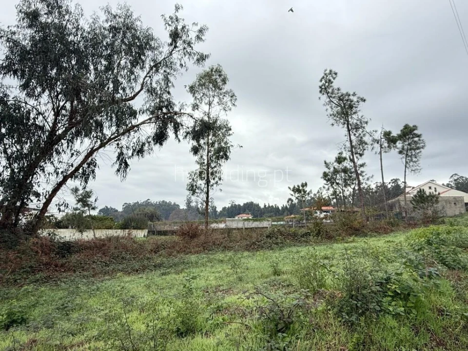 Terreno para Venda em Roriz Foto 5