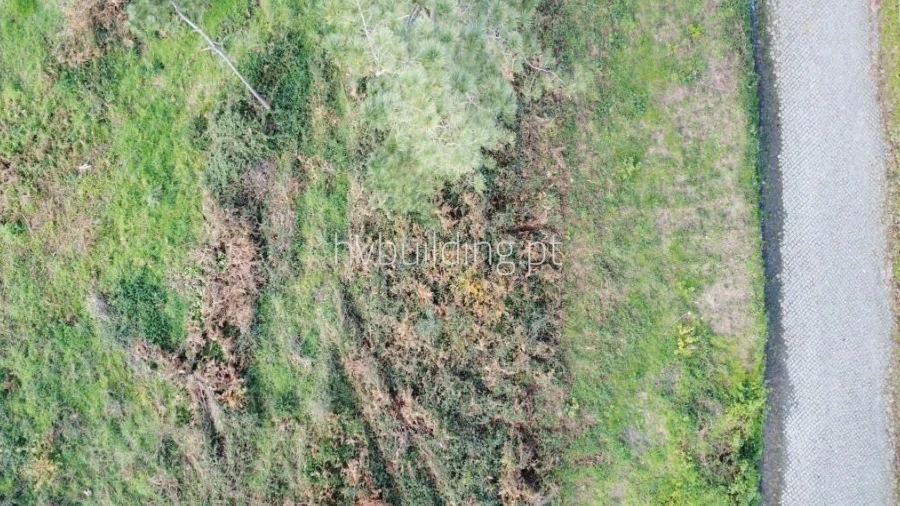 Terreno para Venda em Roriz