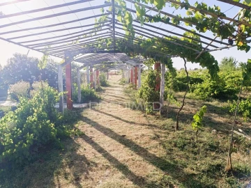 Quinta T3 para Venda em Estremoz (Santa Maria e Santo André)