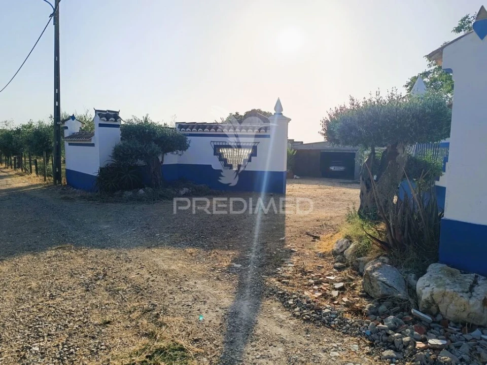 Quinta T3 para Venda em Estremoz (Santa Maria e Santo André) Foto 2