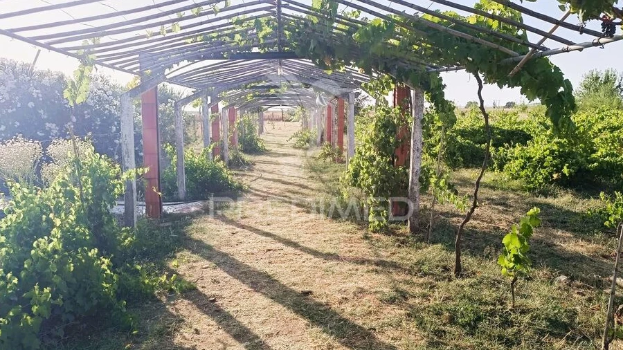 Quinta T3 para Venda em Estremoz (Santa Maria e Santo André)
