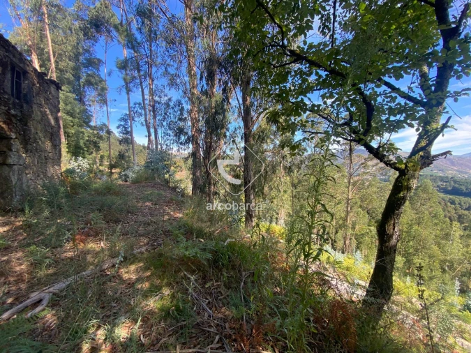Moradia para Venda em Salvador, Vila Fonche e Parada Foto 14