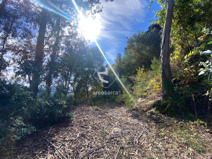 Moradia para Venda em Salvador, Vila Fonche e Parada Foto 16