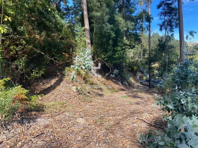 Moradia para Venda em Salvador, Vila Fonche e Parada Foto 5