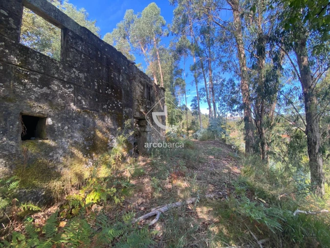Moradia para Venda em Salvador, Vila Fonche e Parada Foto 11