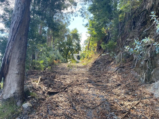 Moradia para Venda em Salvador, Vila Fonche e Parada Foto 2