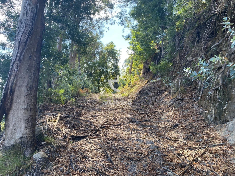 Moradia para Venda em Salvador, Vila Fonche e Parada Foto 2
