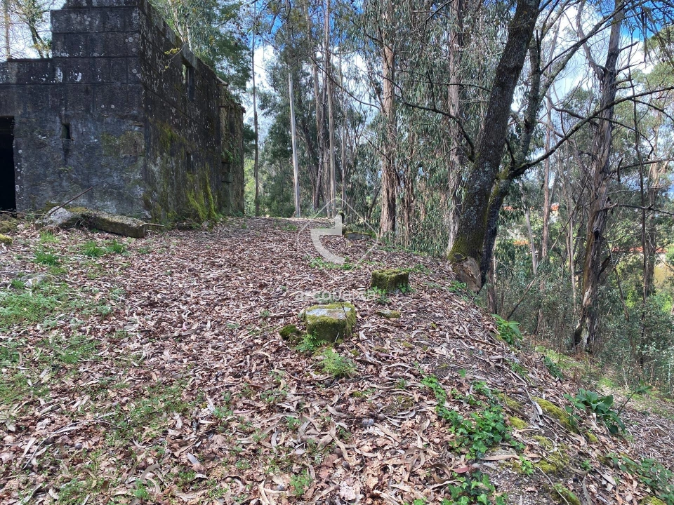 Moradia para Venda em Salvador, Vila Fonche e Parada Foto 21