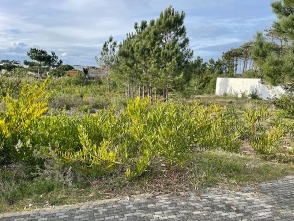 Terreno para Venda em Pataias e Martingança Foto 1