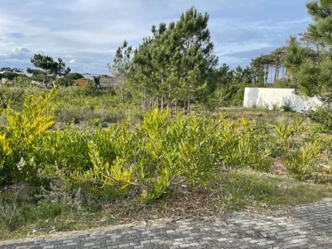 Terreno para Venda em Pataias e Martingança