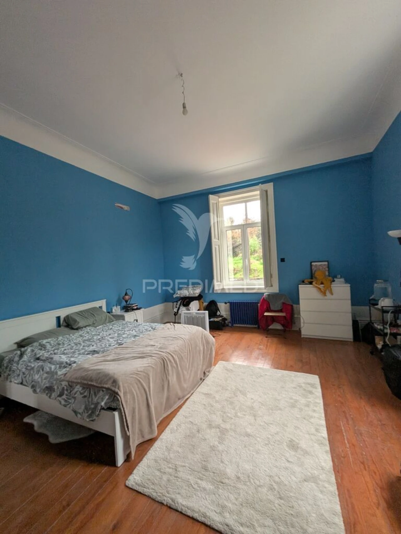 Quinta T7 para Venda em Sobreira Foto 18