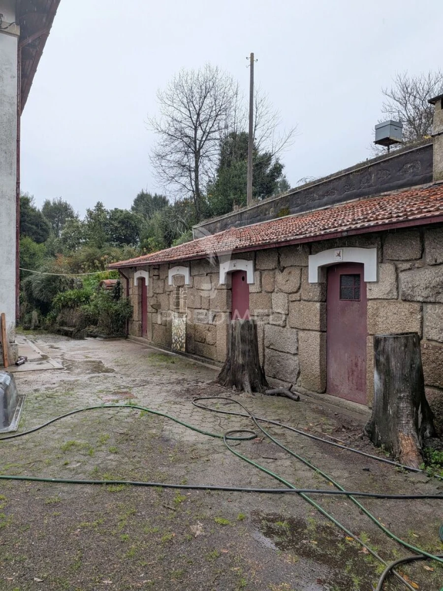 Quinta T7 para Venda em Sobreira Foto 5