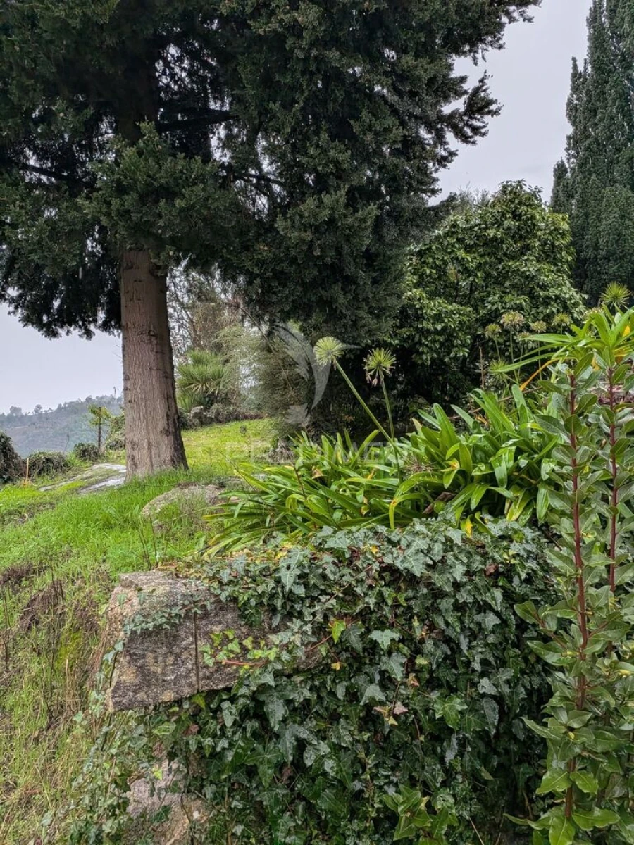 Quinta T7 para Venda em Sobreira Foto 7