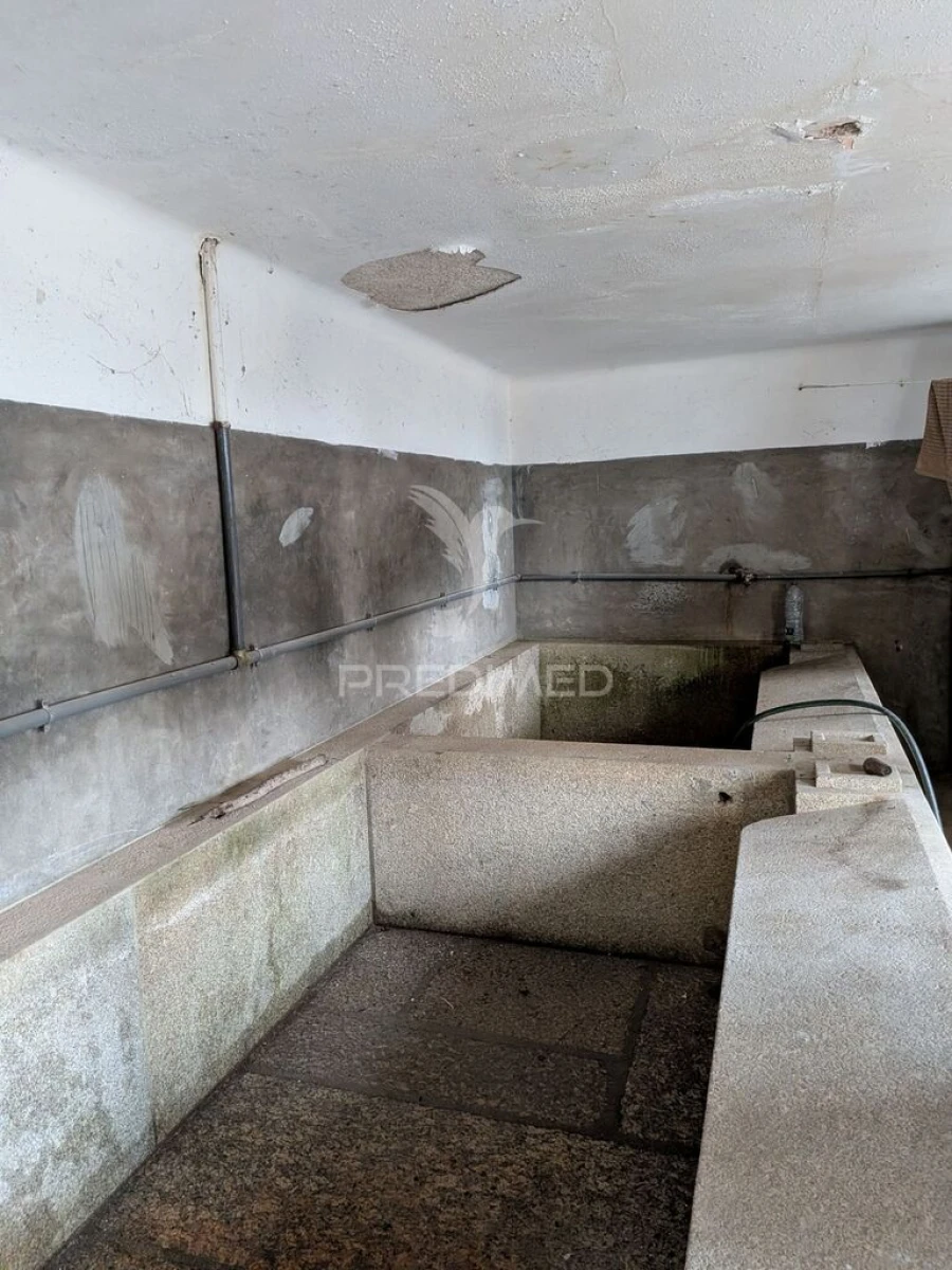 Quinta T7 para Venda em Sobreira Foto 6