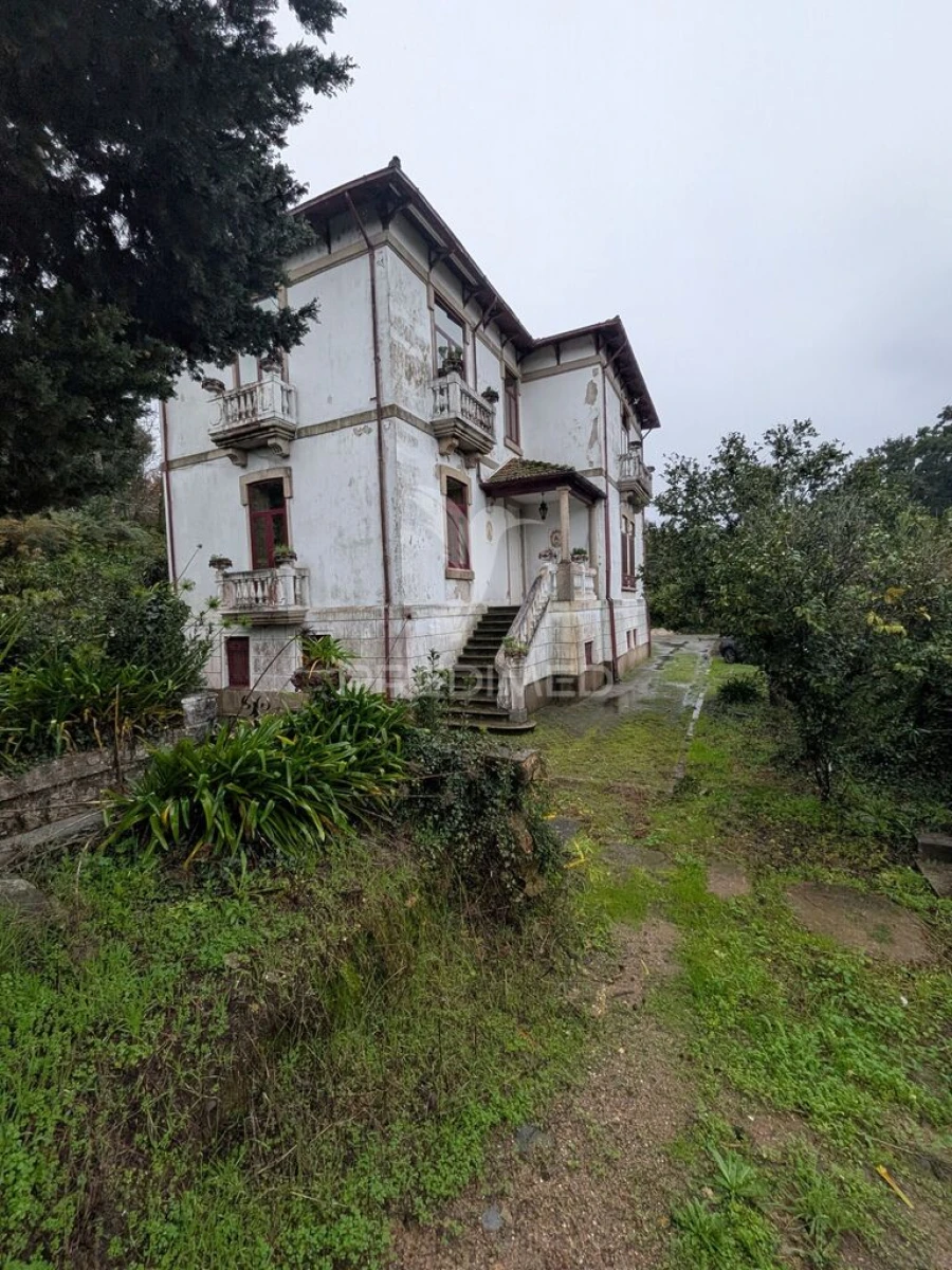 Quinta T7 para Venda em Sobreira Foto 3