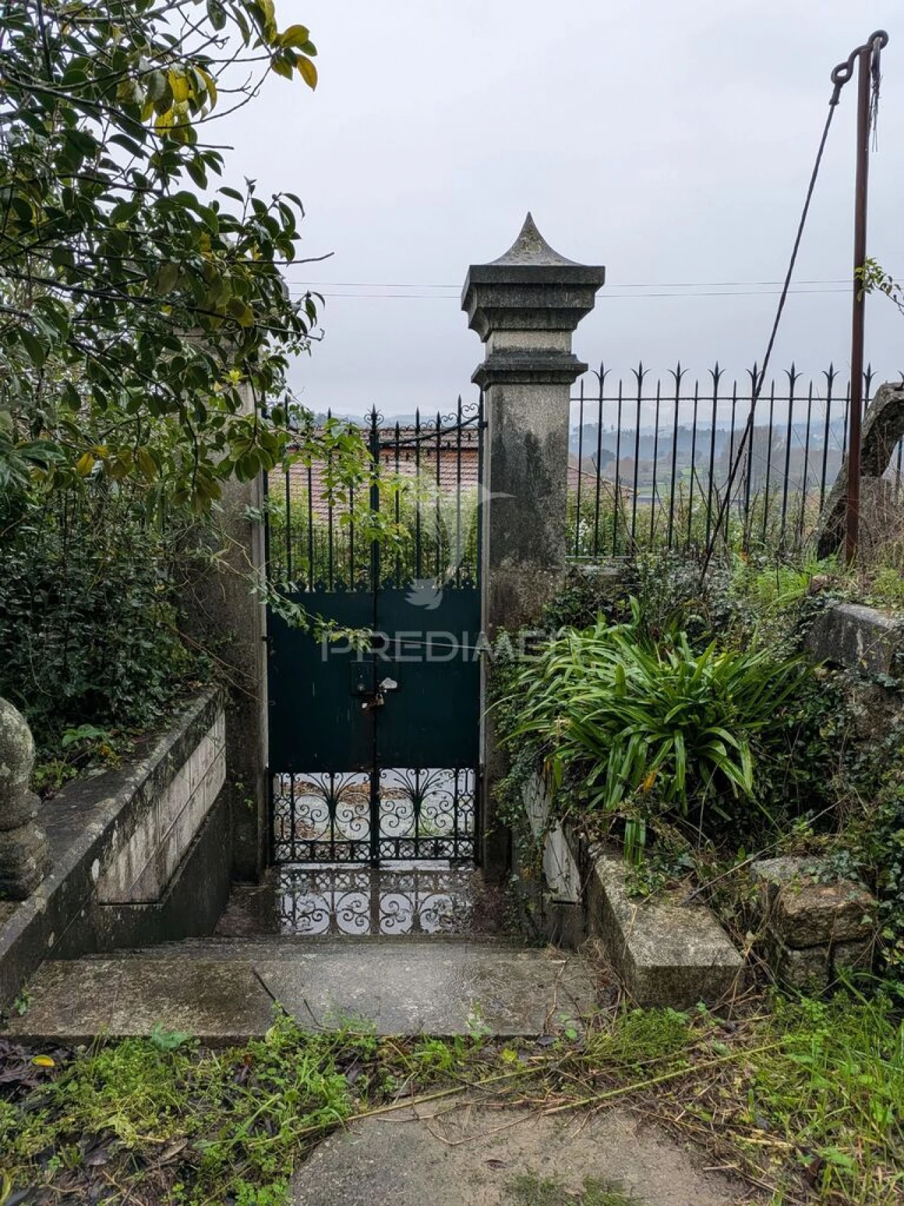 Quinta T7 para Venda em Sobreira Foto 4