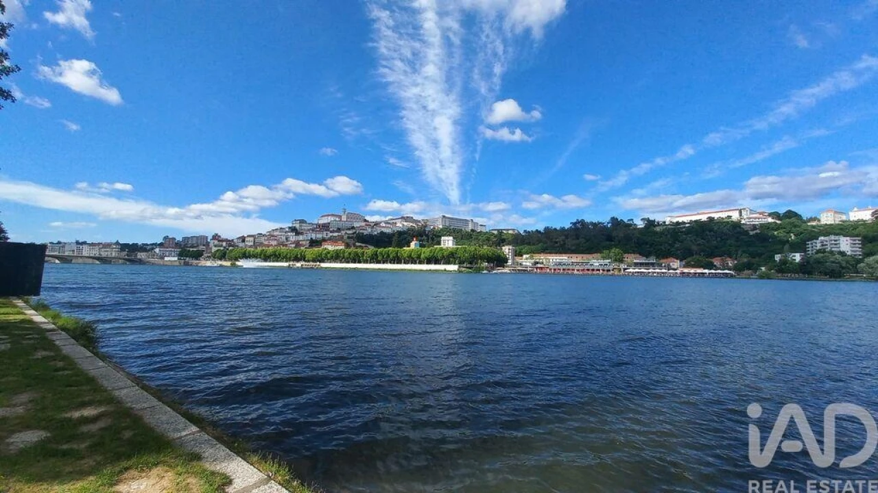 Terreno para Venda em São Martinho de Árvore e Lamarosa Foto 5