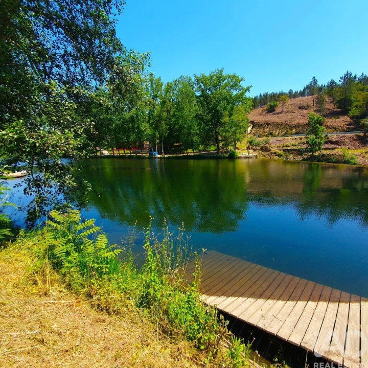 Moradia T3 para Venda em Arganil Foto 38