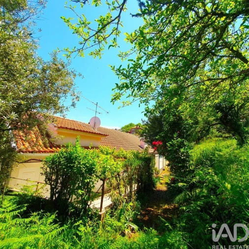 Moradia T3 para Venda em Arganil Foto 24