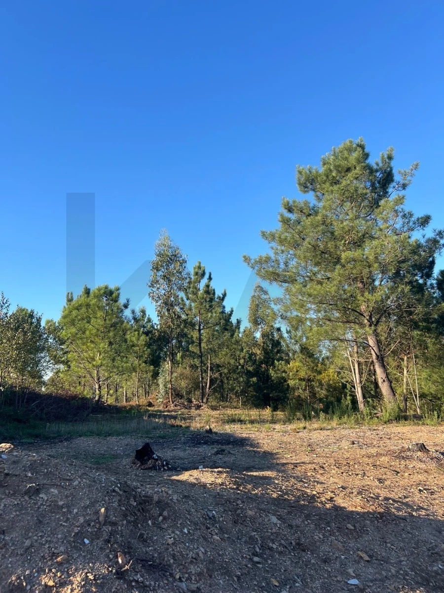 Terreno para Venda em São Roque Foto 5
