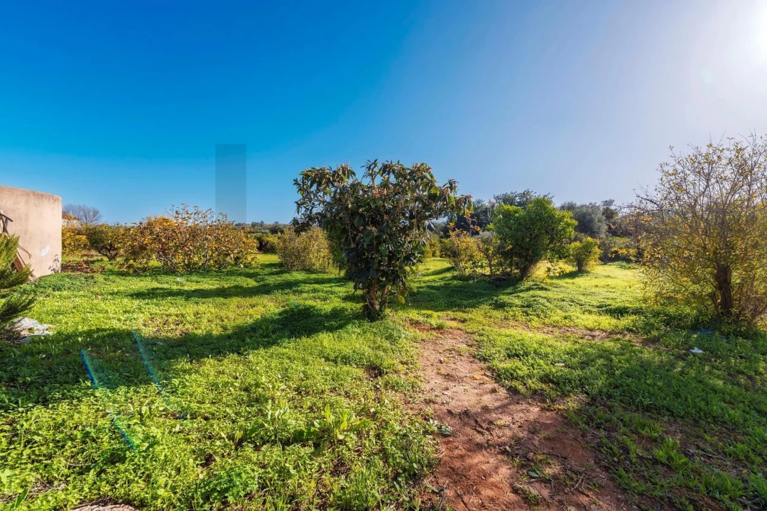 Moradia T3 para Venda em Loule (São Clemente) Foto 26