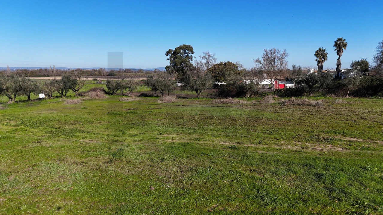 Terreno para Venda em Almeirim Foto 7