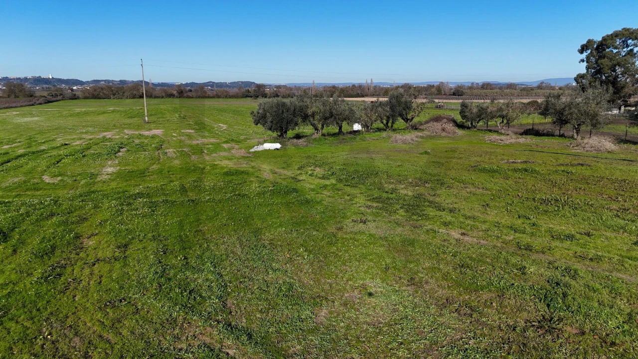 Terreno para Venda em Almeirim Foto 14
