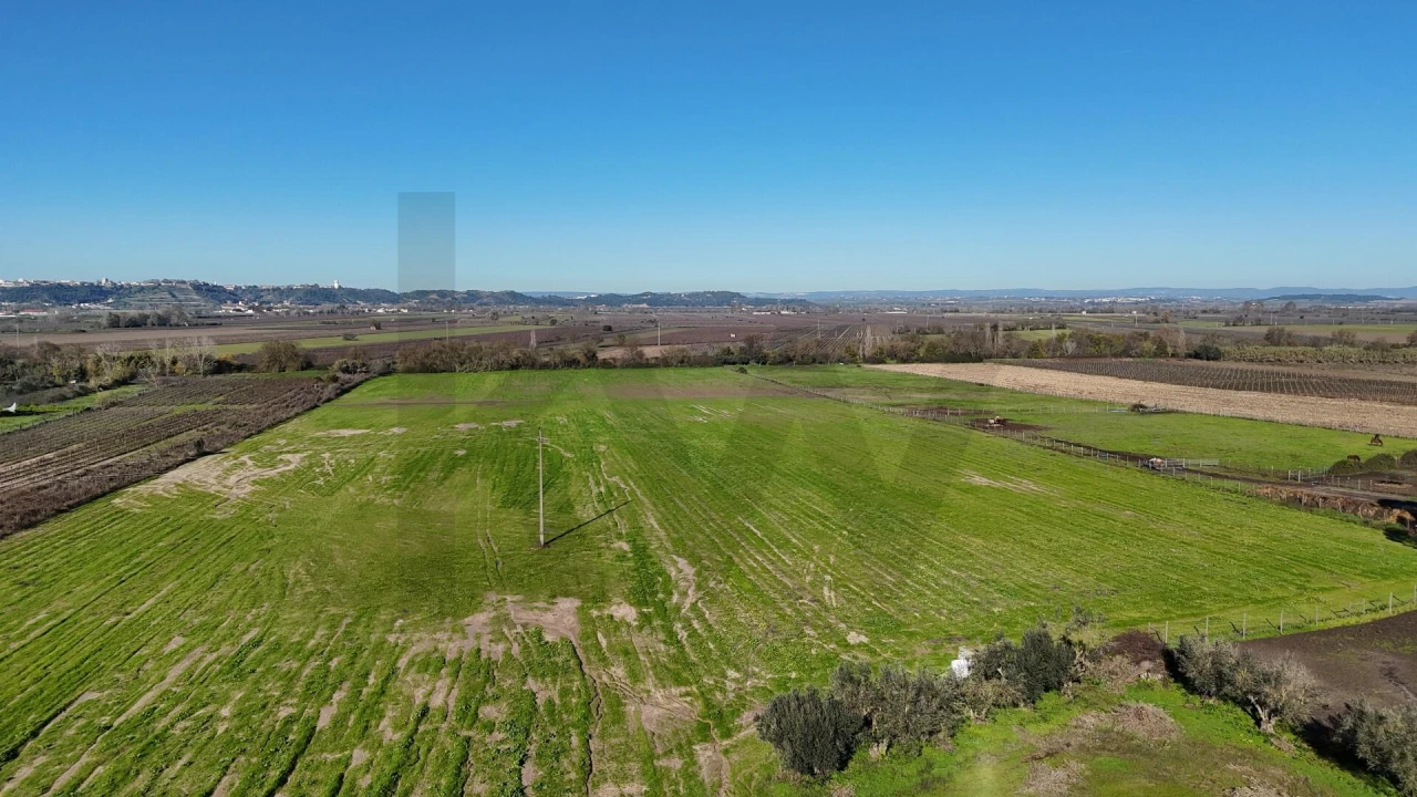 Terreno para Venda em Almeirim Foto 9