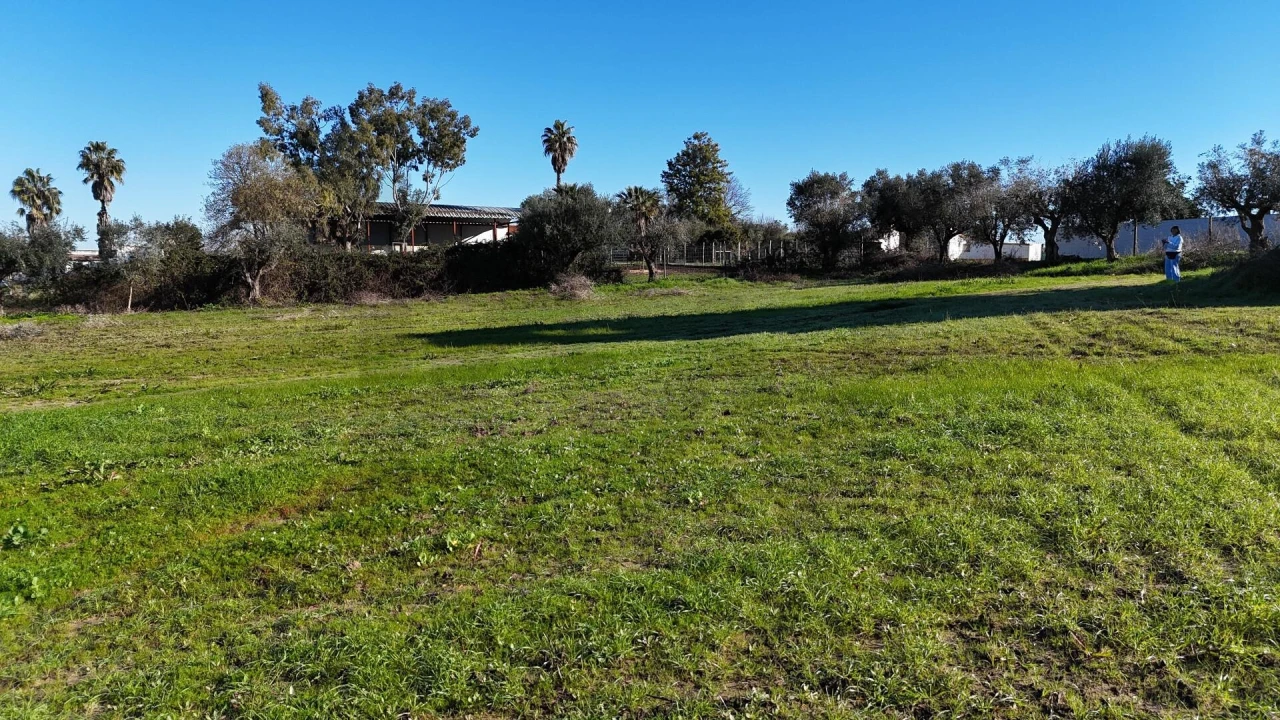 Terreno para Venda em Almeirim Foto 8