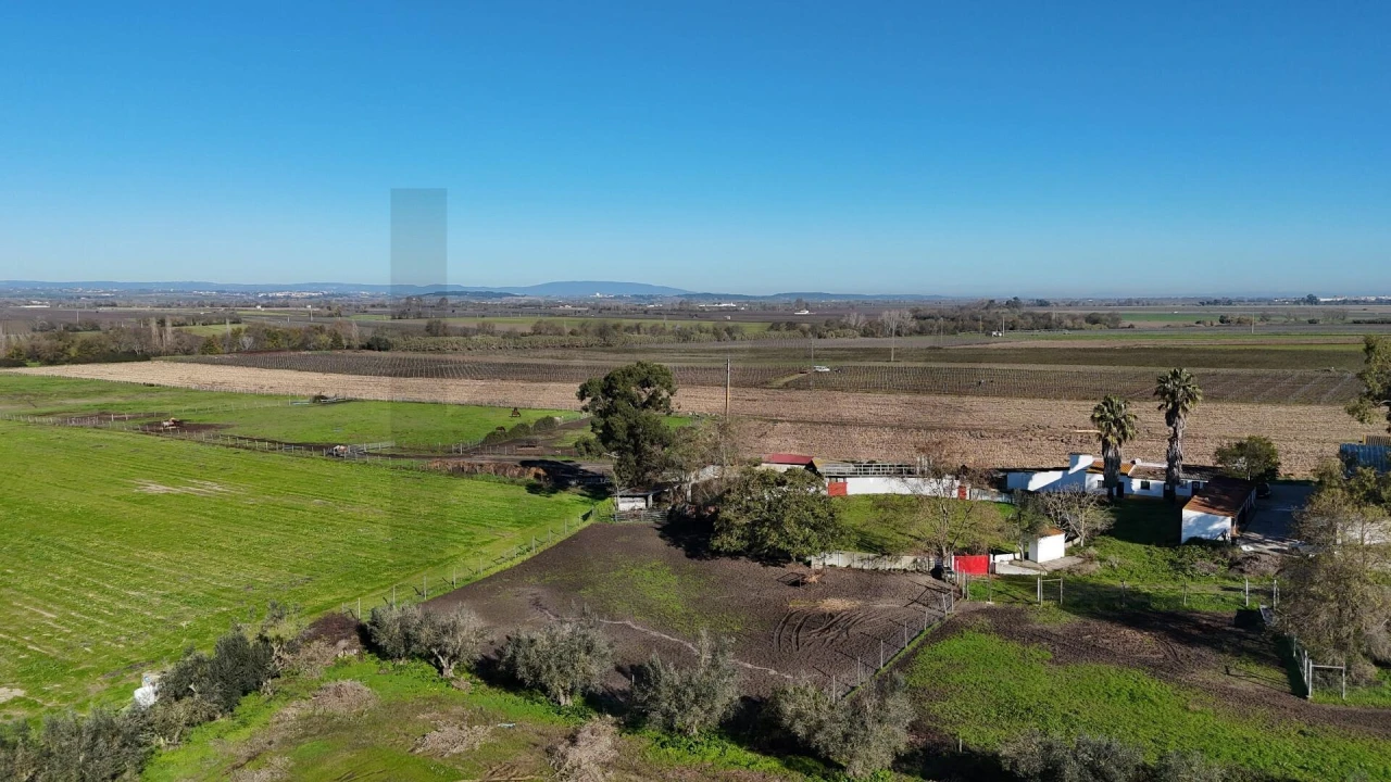 Terreno para Venda em Almeirim Foto 13
