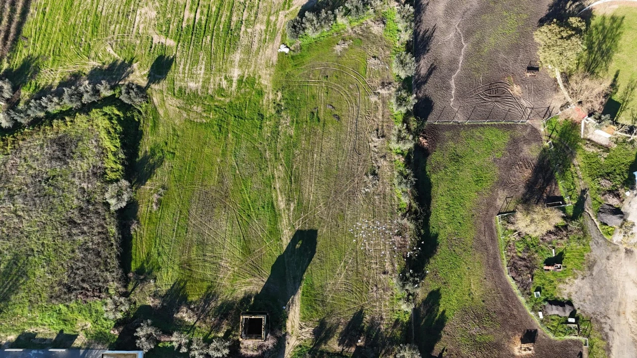 Terreno para Venda em Almeirim Foto 3