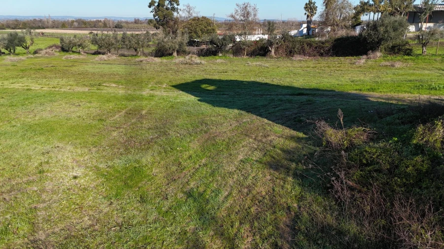 Terreno para Venda em Almeirim Foto 6