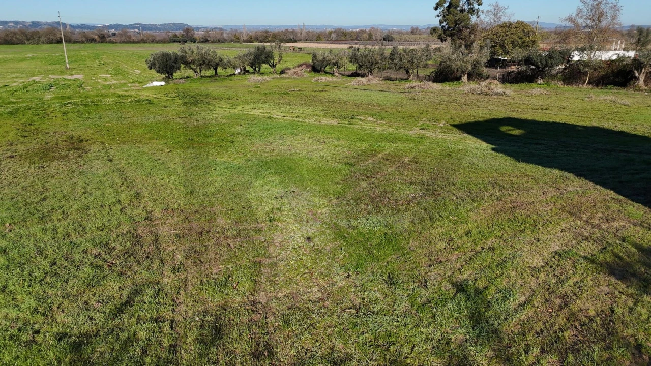 Terreno para Venda em Almeirim Foto 5