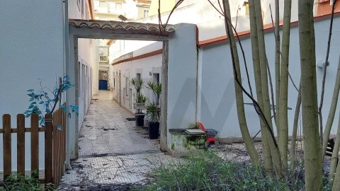 Apartamento para Venda em Estrela