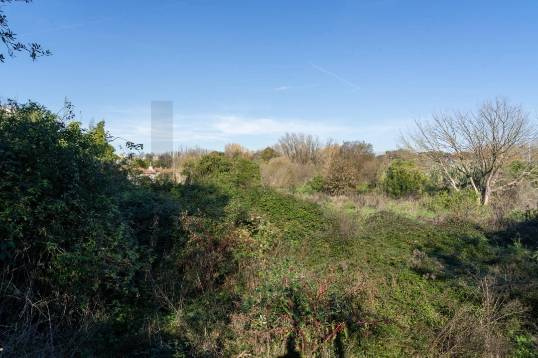 Terreno para Venda em Ramalde Foto 43