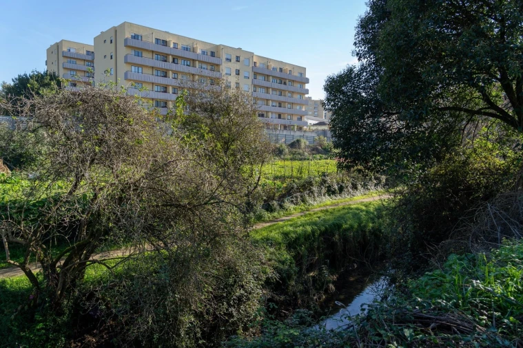 Terreno para Venda em Ramalde Foto 44