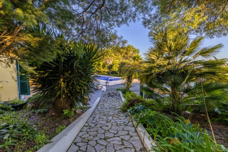 Moradia T5 para Venda em São Martinho do Porto Foto 49