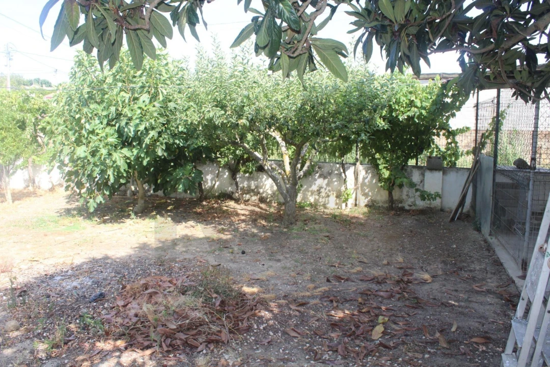 Terreno para Venda em Pontevel Foto 6