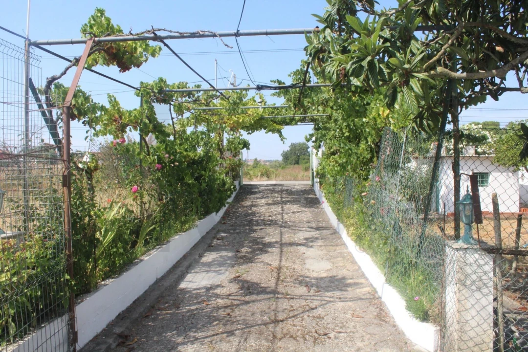 Terreno para Venda em Pontevel Foto 4