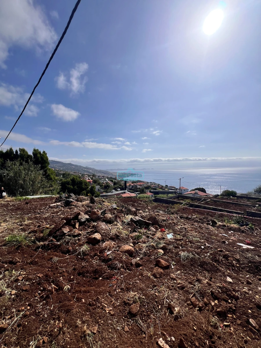 Terreno para Venda em Gaula Foto 12