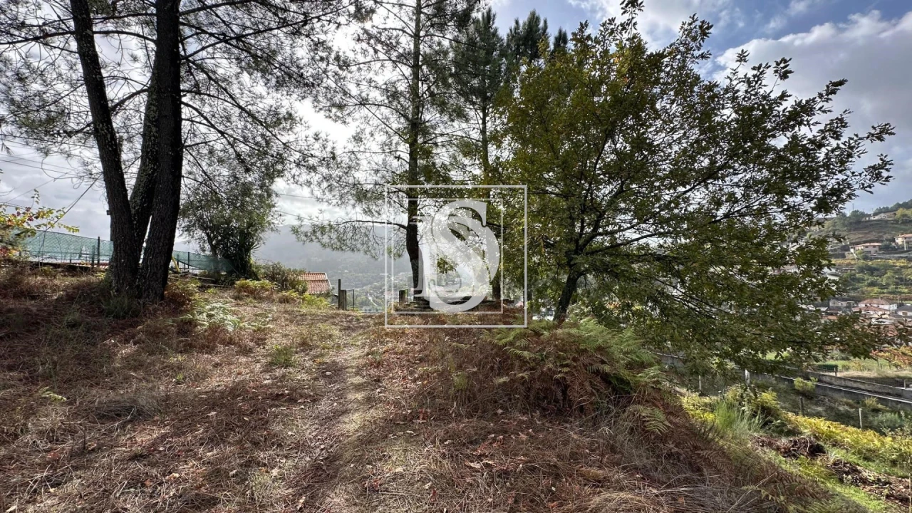 Terreno para Venda em Padronelo Foto 9