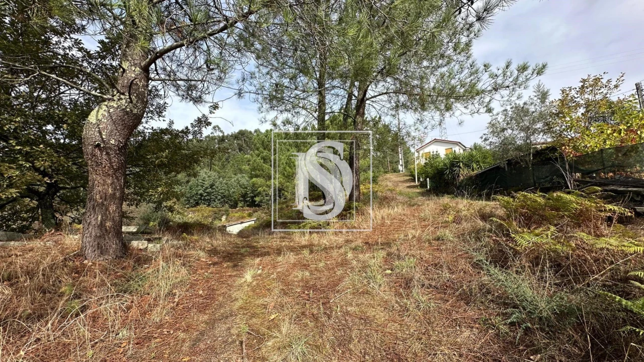 Terreno para Venda em Padronelo Foto 5