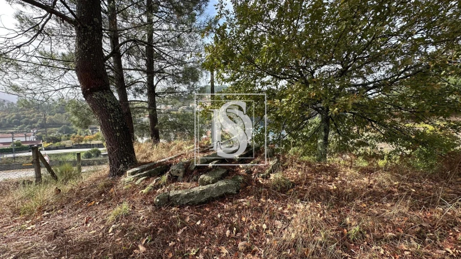 Terreno para Venda em Padronelo Foto 8