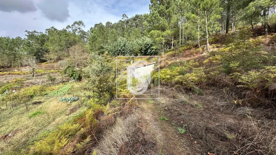 Terreno para Venda em Padronelo Foto 14