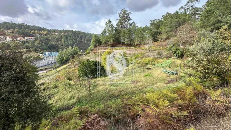 Terreno para Venda em Padronelo Foto 15