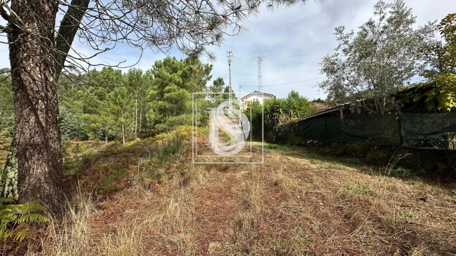 Terreno para Venda em Padronelo Foto 7