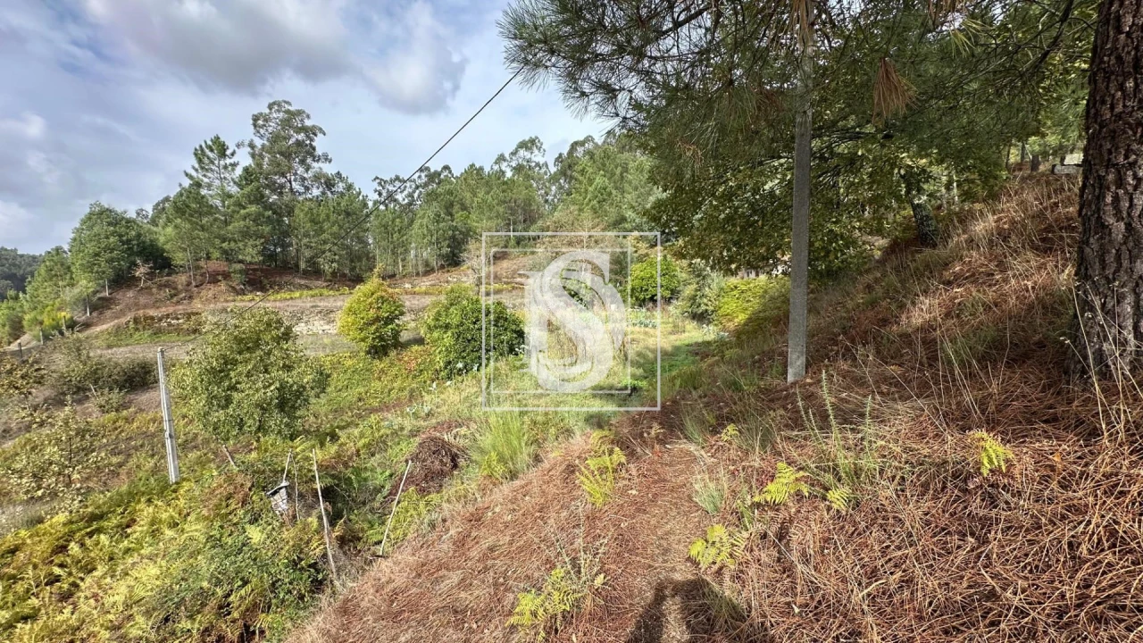 Terreno para Venda em Padronelo Foto 3