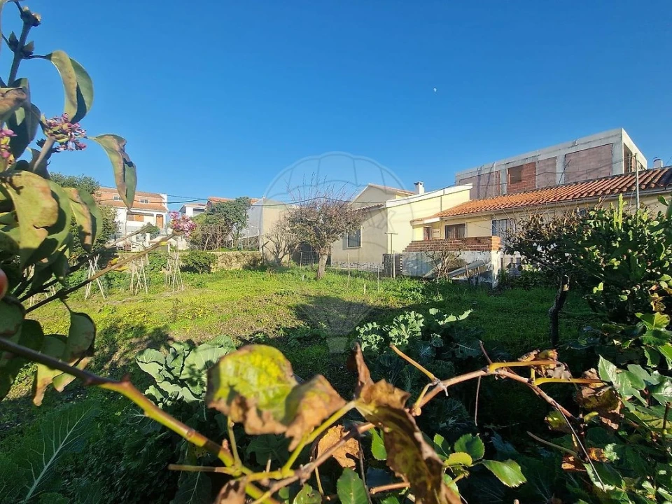 Terreno para Venda em São Domingos de Rana Foto 4
